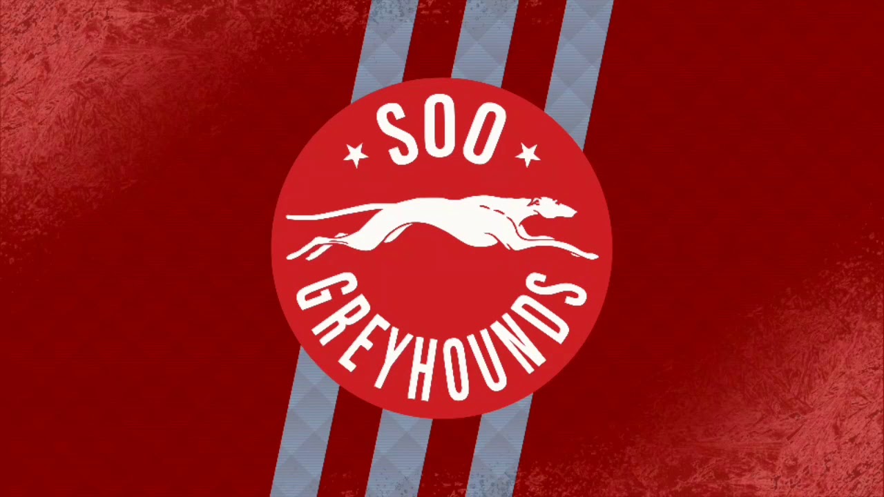 Read more about the article Soo Greyhounds Discount